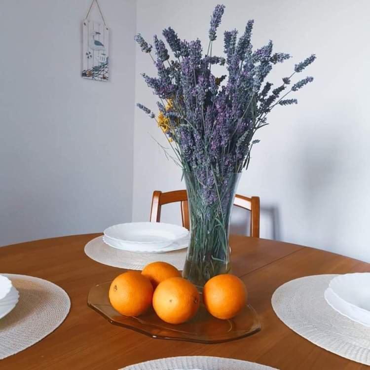 Istrian House Mojca Villa Koper Ngoại thất bức ảnh