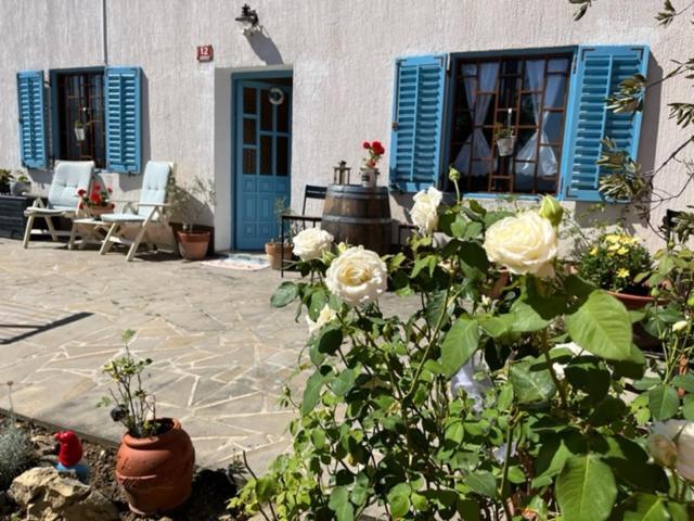 Istrian House Mojca Villa Koper Ngoại thất bức ảnh
